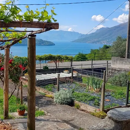 My Holidays - Ca Lia Apartament Vercana